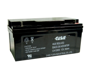 CASIL蓄电池CA12650/12V65AH