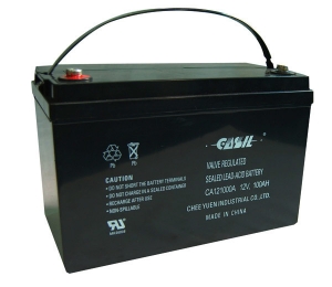CASIL蓄电池CA121000/12V100AH